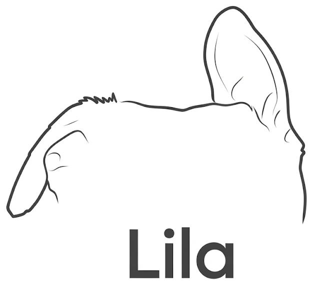 Logo de Lila
